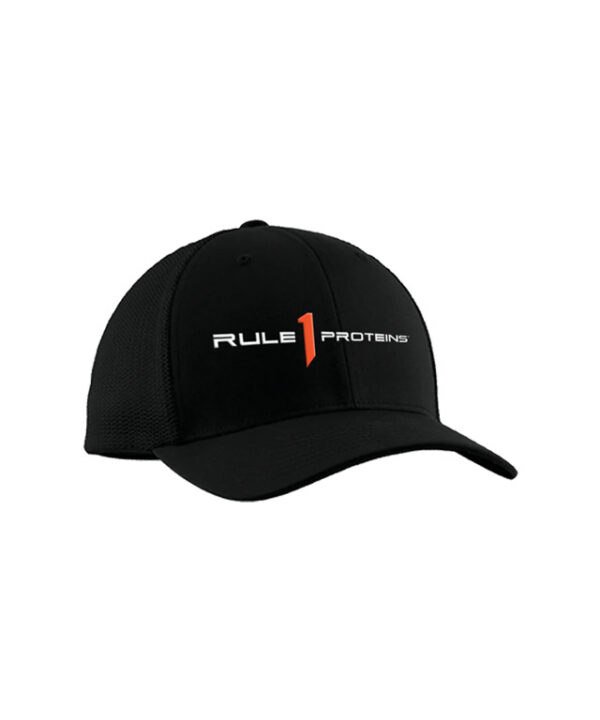 R1-Classic-Logo-Hat_01